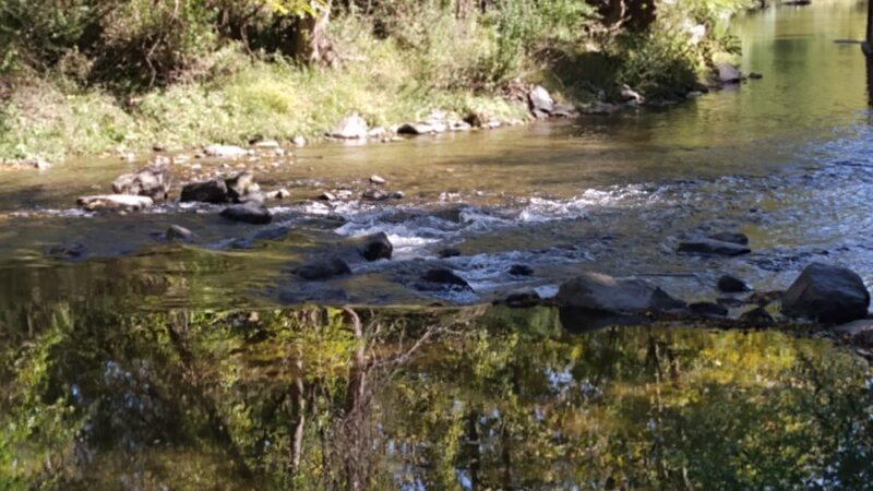 Red Clay Creek Trail Bridge - Hockessin, DE