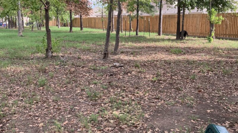 Bauer Landing Dog Park - Hockley, TX