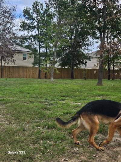 Bauer Landing Dog Park - Hockley, TX