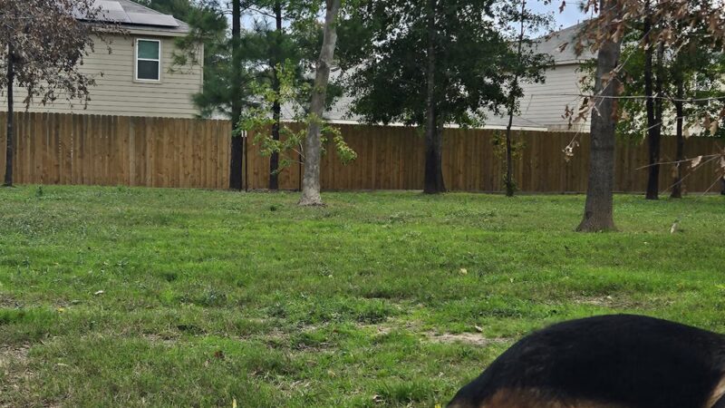 Bauer Landing Dog Park - Hockley, TX