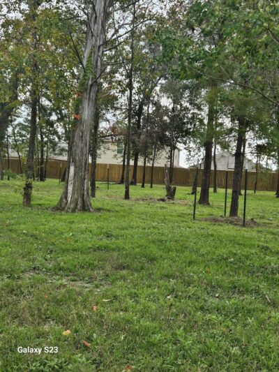 Bauer Landing Dog Park - Hockley, TX