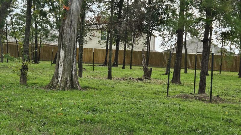 Bauer Landing Dog Park - Hockley, TX