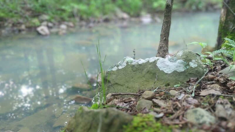 Pashubbe Trailhead - Hodgen, OK