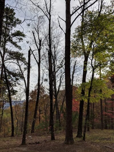 Pashubbe Trailhead - Hodgen, OK