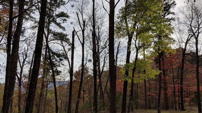 Pashubbe Trailhead - Hodgen, OK