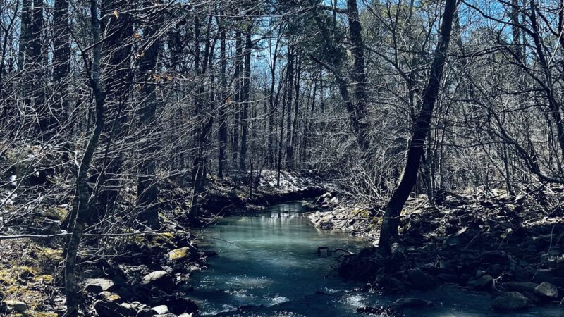 Pashubbe Trailhead - Hodgen, OK
