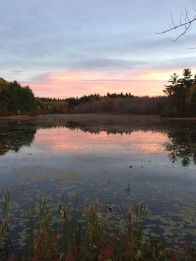 Jefferson - Holden, MA