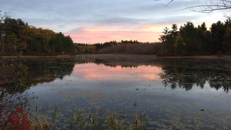 Jefferson - Holden, MA