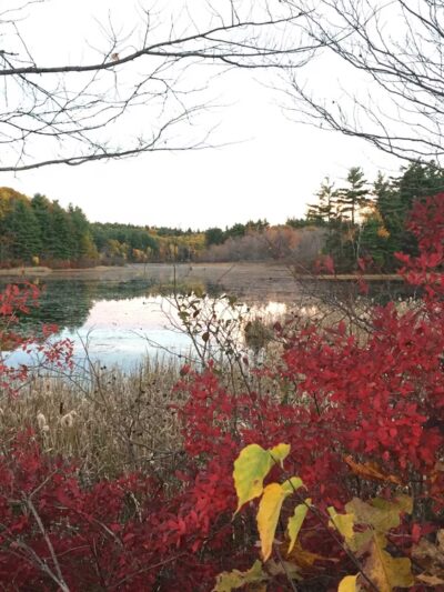 Jefferson - Holden, MA