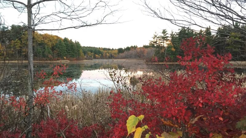 Jefferson - Holden, MA