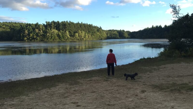 Jefferson - Holden, MA