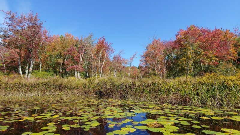 Quinebaug River Canoe Trail - Holland, MA