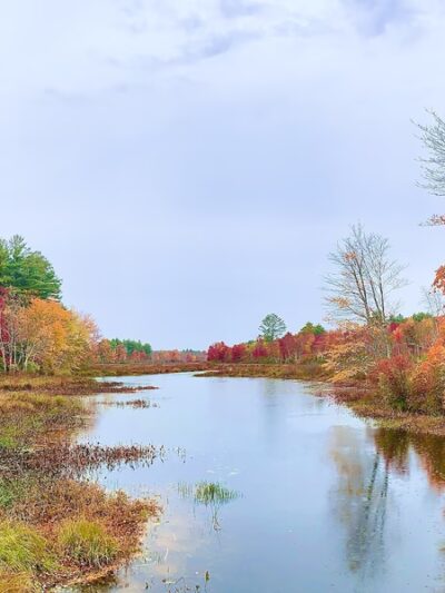 Quinebaug River Canoe Trail - Holland, MA