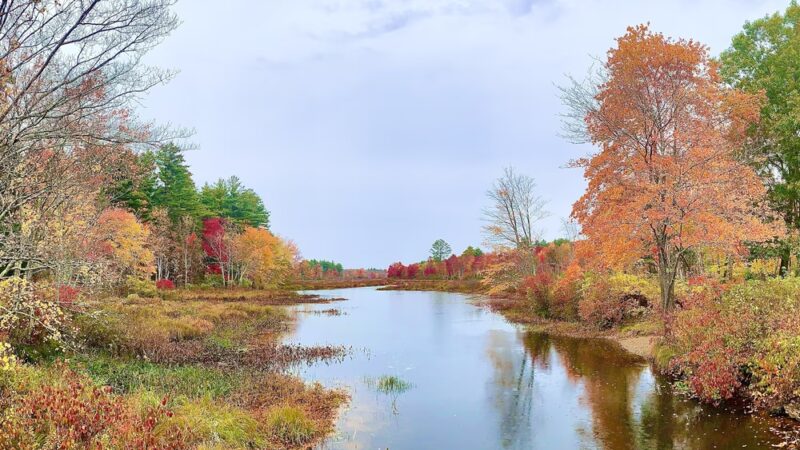 Quinebaug River Canoe Trail - Holland, MA
