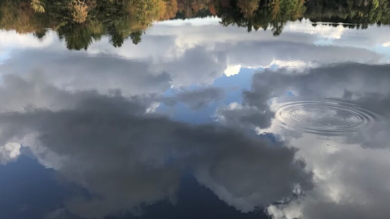 Quinebaug River Canoe Trail - Holland, MA