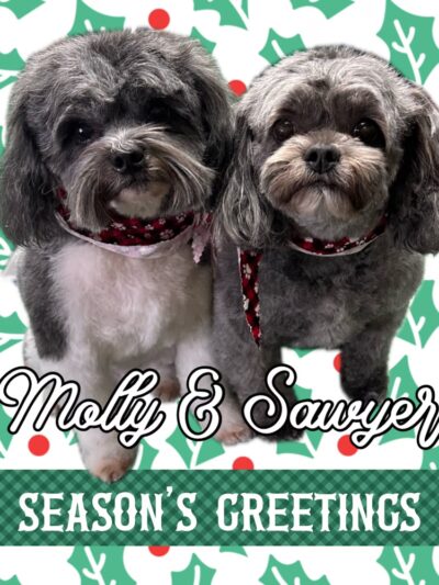 Park Ave Pet Spa - Holland Patent, NY