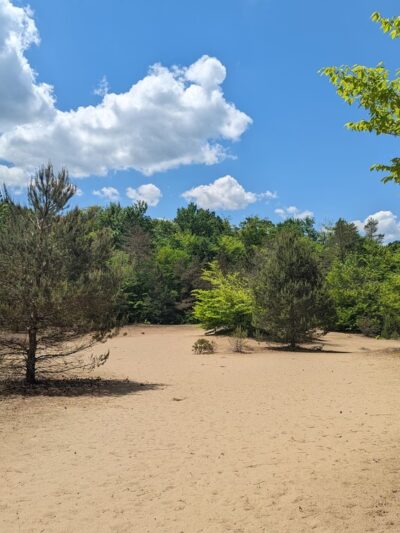 Trenton Greenbelt Hiking Trails - Holland Patent, NY