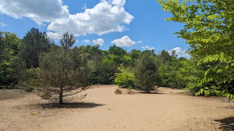 Trenton Greenbelt Hiking Trails - Holland Patent, NY