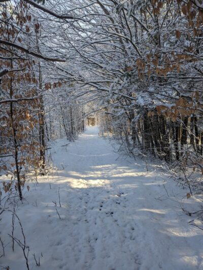 Trenton Greenbelt Hiking Trails - Holland Patent, NY