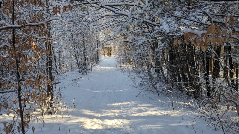 Trenton Greenbelt Hiking Trails - Holland Patent, NY