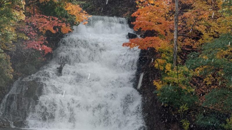 Canal Park - Holley, NY