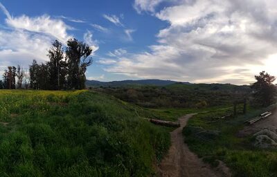 Summer Park - Hollister, CA