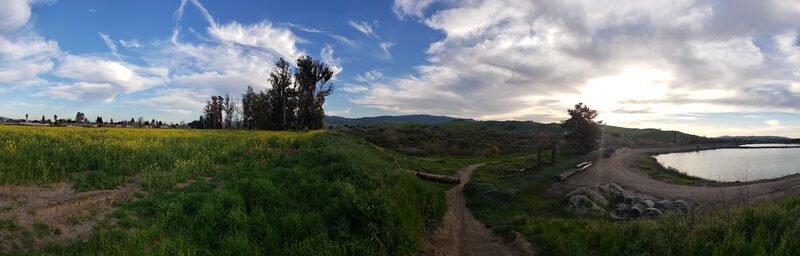 Summer Park - Hollister, CA