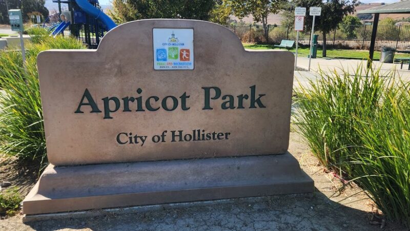 Summer Park - Hollister, CA