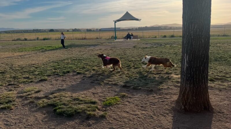 Bark Park - Hollister, CA