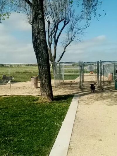 Bark Park - Hollister, CA