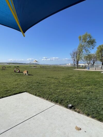 Bark Park - Hollister, CA