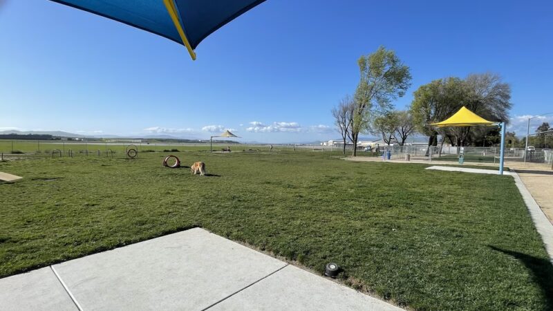 Bark Park - Hollister, CA