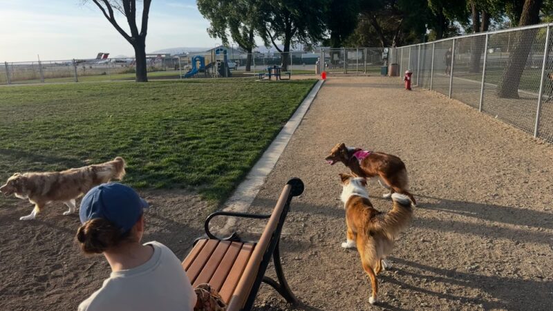 Bark Park - Hollister, CA