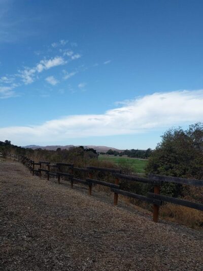 City of Hollister Municipal Park - Hollister, CA