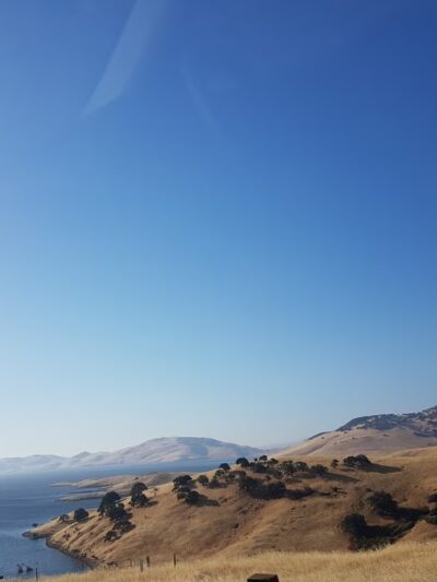 Cottonwood Creek Wildlife Area - Upper Unit - Hollister, CA