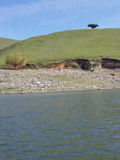 Cottonwood Creek Wildlife Area - Upper Unit - Hollister, CA