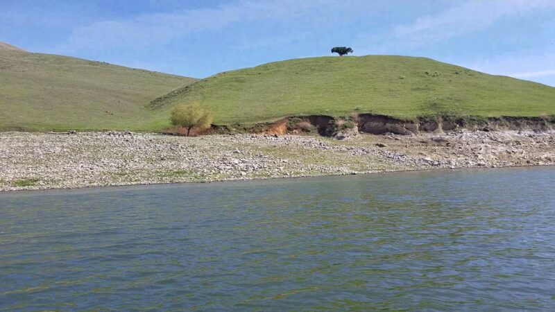 Cottonwood Creek Wildlife Area - Upper Unit - Hollister, CA