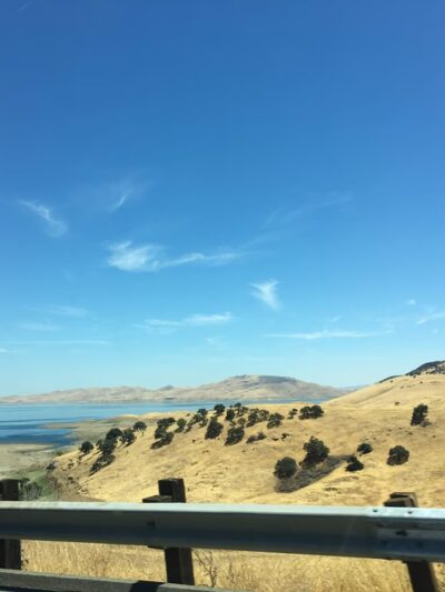 Cottonwood Creek Wildlife Area - Upper Unit - Hollister, CA