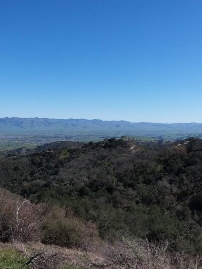 Hollister Park Maintenance - Hollister, CA