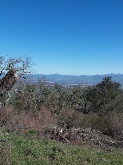 Hollister Park Maintenance - Hollister, CA