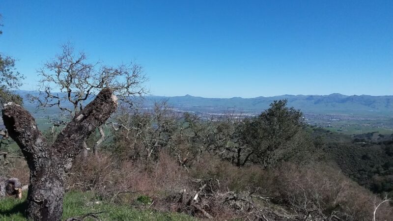 Hollister Park Maintenance - Hollister, CA