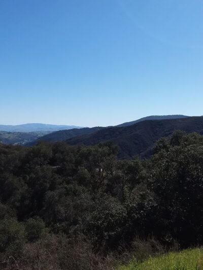 Hollister Park Maintenance - Hollister, CA