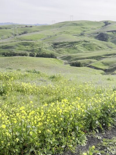 Mudstone Ranch - Hollister, CA