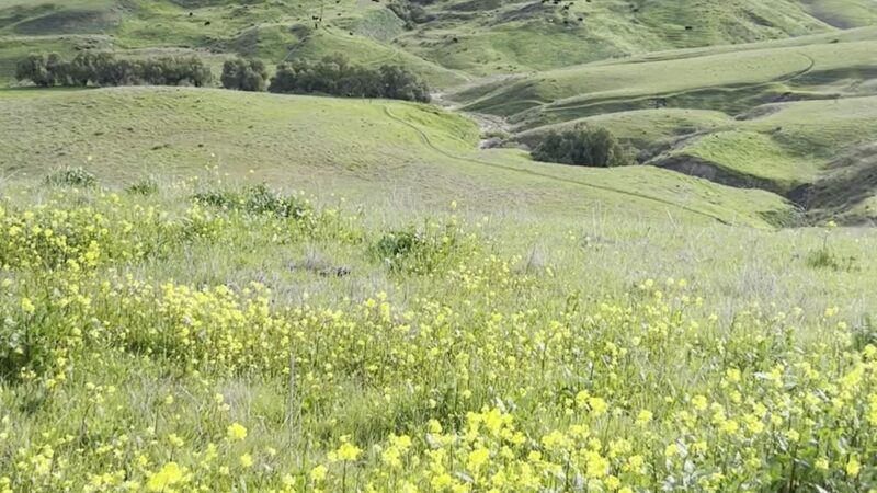 Mudstone Ranch - Hollister, CA