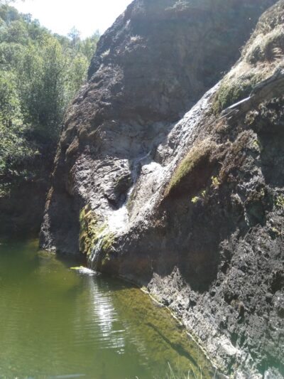 Pacheco Falls - Hollister, CA
