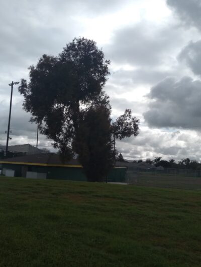Veterans Memorial Park - Hollister, CA