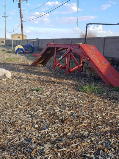 Dog Park - Holloman AFB, NM
