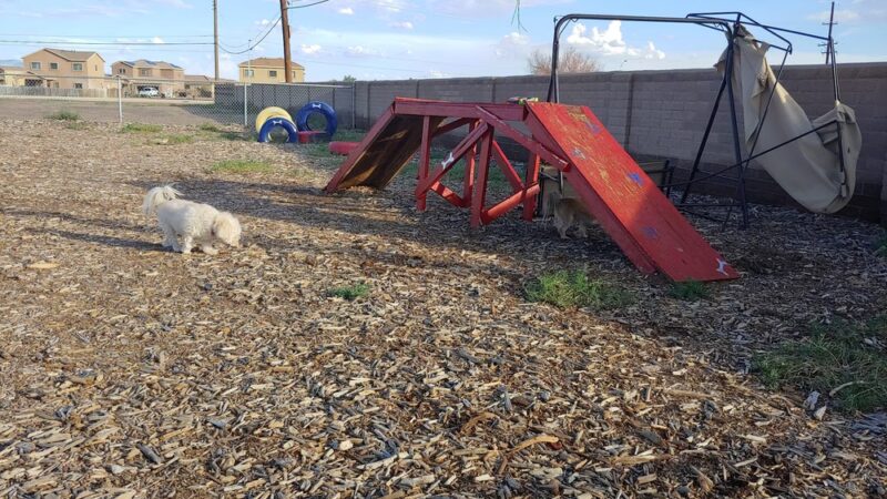 Dog Park - Holloman AFB, NM