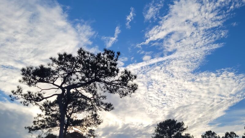 Holly Ridge Municipal Park - Holly Ridge, NC