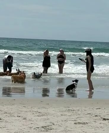 Public Beach Access #0-9 at Davis Ave - Holly Ridge, NC